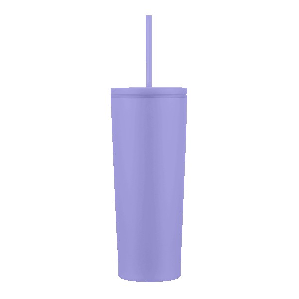 Telluride 24oz Straw Tumbler 1