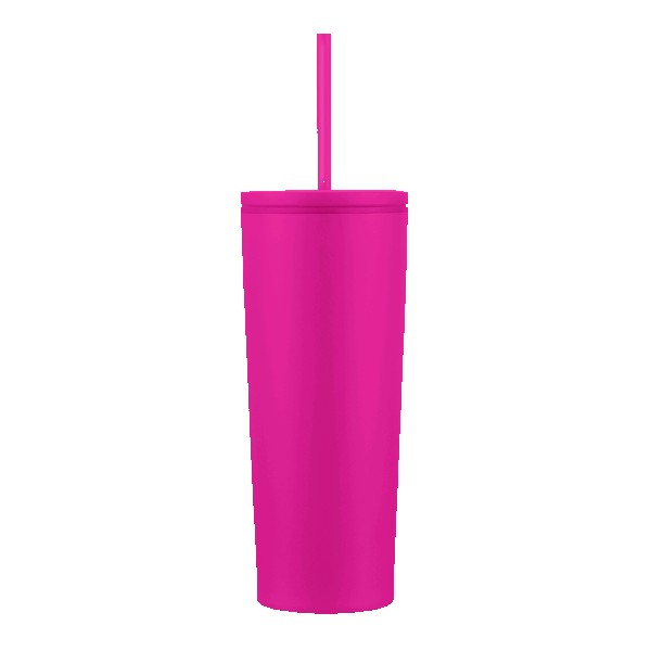 Telluride 24oz Straw Tumbler 1