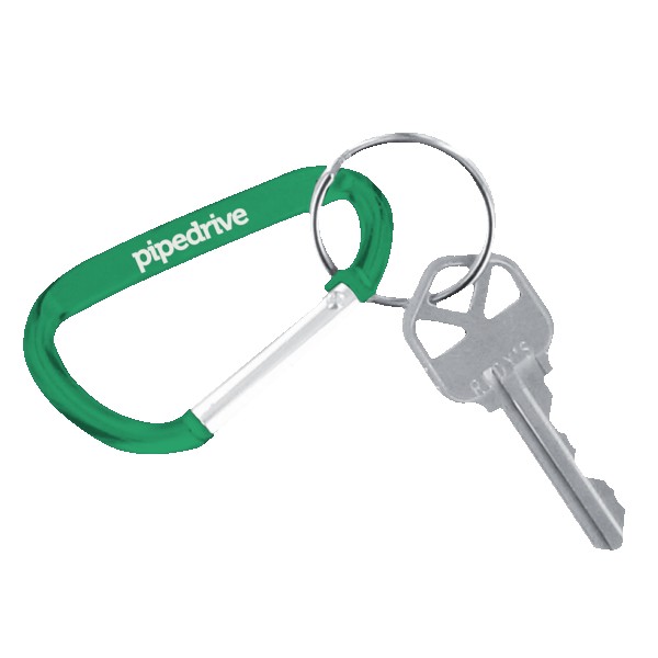 Carabiner Keychain 1