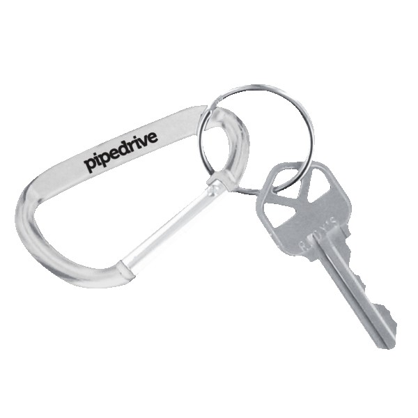 Carabiner Keychain 1