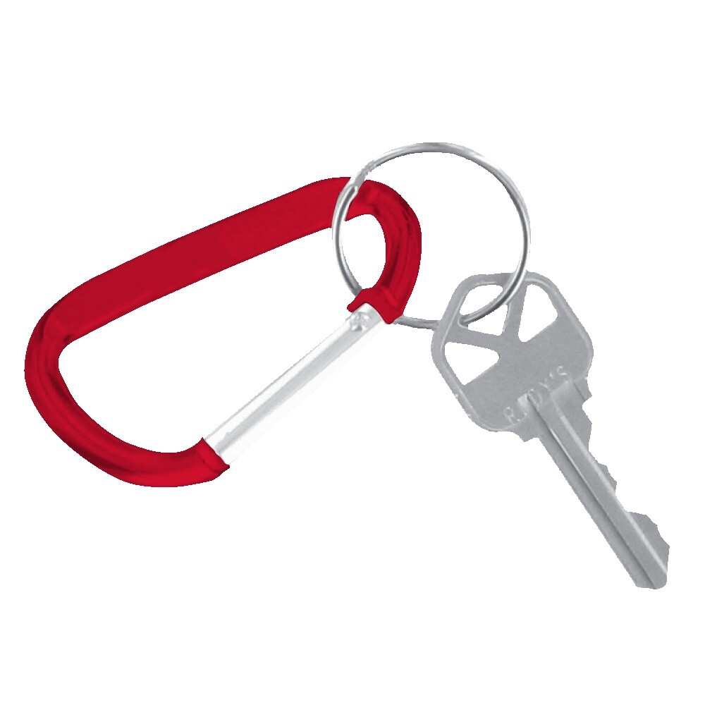 Carabiner Keychain 1