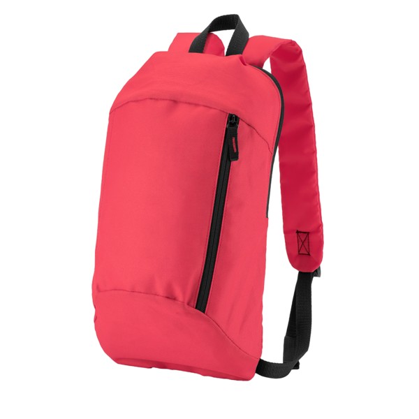 Budget Backpack 1