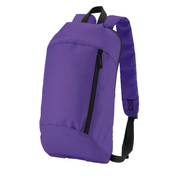 Budget Backpack 1