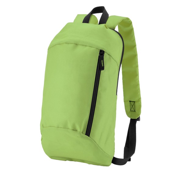 Budget Backpack 1