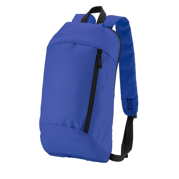 Budget Backpack 1