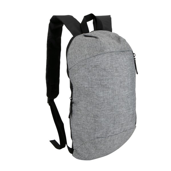 Budget Backpack 1