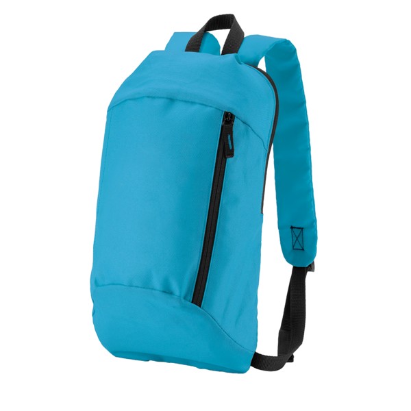 Budget Backpack 1