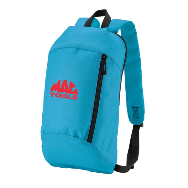 Budget Backpack 1