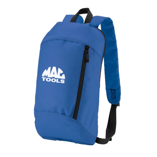 Budget Backpack 1