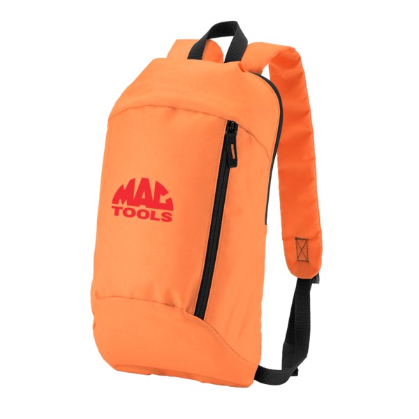 Budget Backpack 1