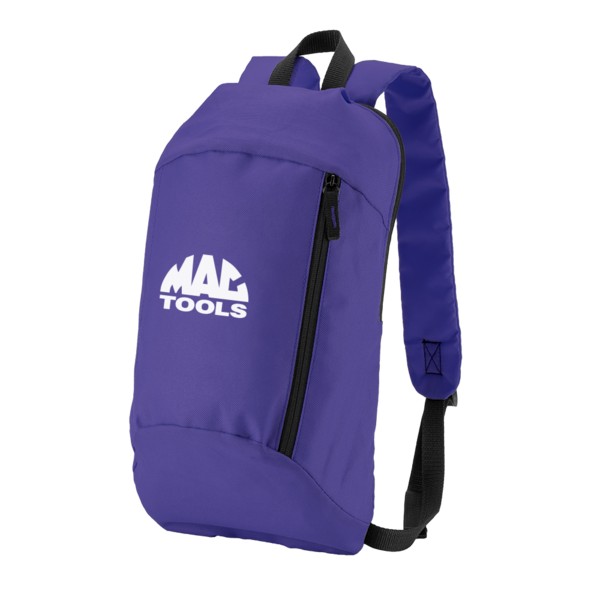 Budget Backpack 1