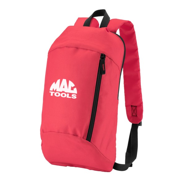 Budget Backpack 1