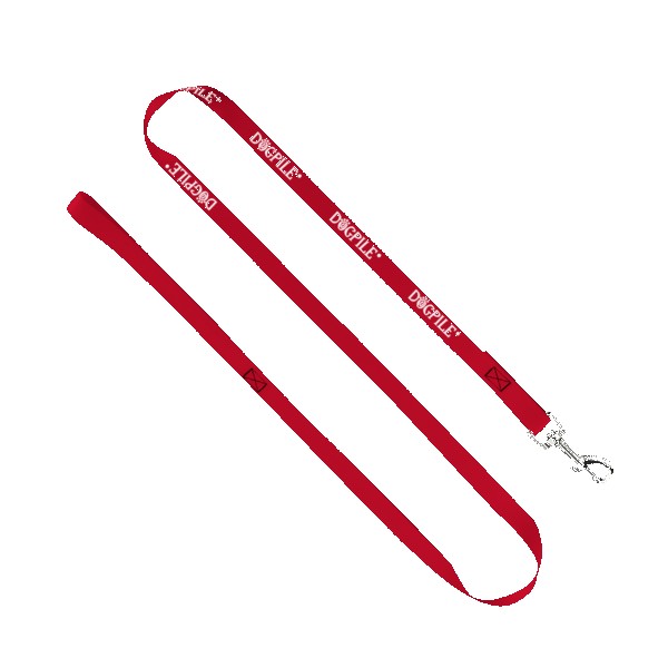 3/4" Smooth Nylon Pet Leash with Bright Metal Snap Hook 1