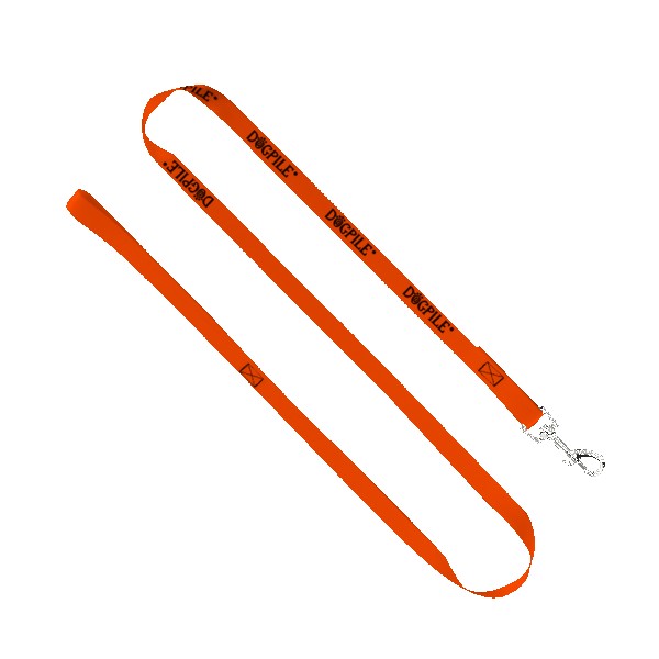 3/4" Smooth Nylon Pet Leash with Bright Metal Snap Hook 1