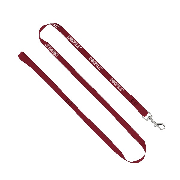 3/4" Smooth Nylon Pet Leash with Bright Metal Snap Hook 1