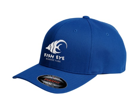 FlexFit 5001 V-Flex Twill Cap 1