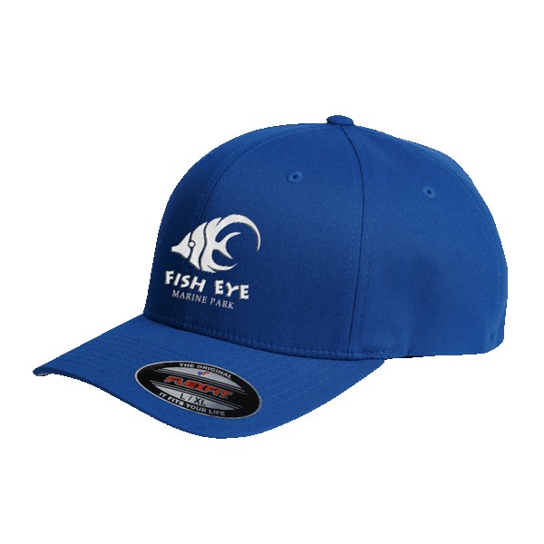 FlexFit 5001 V-Flex Twill Cap 1