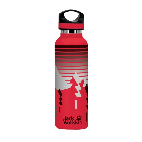 20 oz. Basecamp Tundra Bottle with Screw Top Lid 1