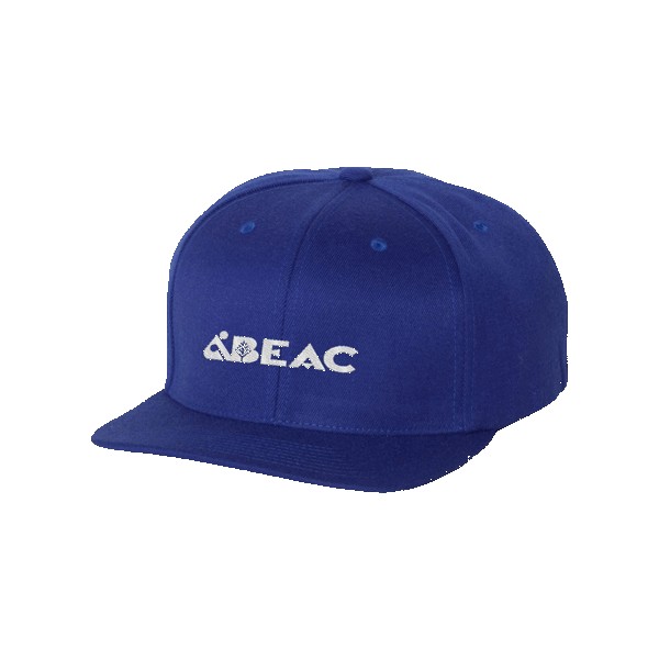 Flexfit 110F One Ten Snapback 1