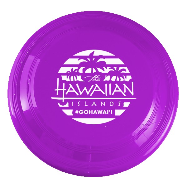 High Flyer 9" Flyer Disk 1
