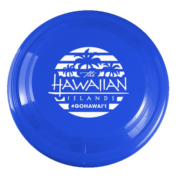 High Flyer 9" Flyer Disk 1