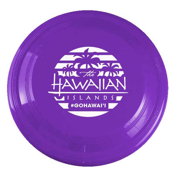 High Flyer 9" Flyer Disk 1