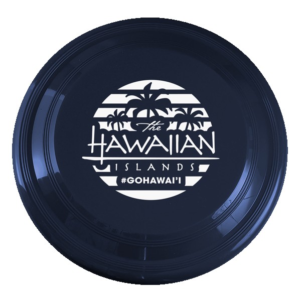 High Flyer 9" Flyer Disk 1