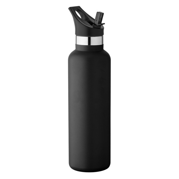 20 oz Basecamp Mesa Tundra Bottle with Screw Top and Flip-Top Straw Lid 1