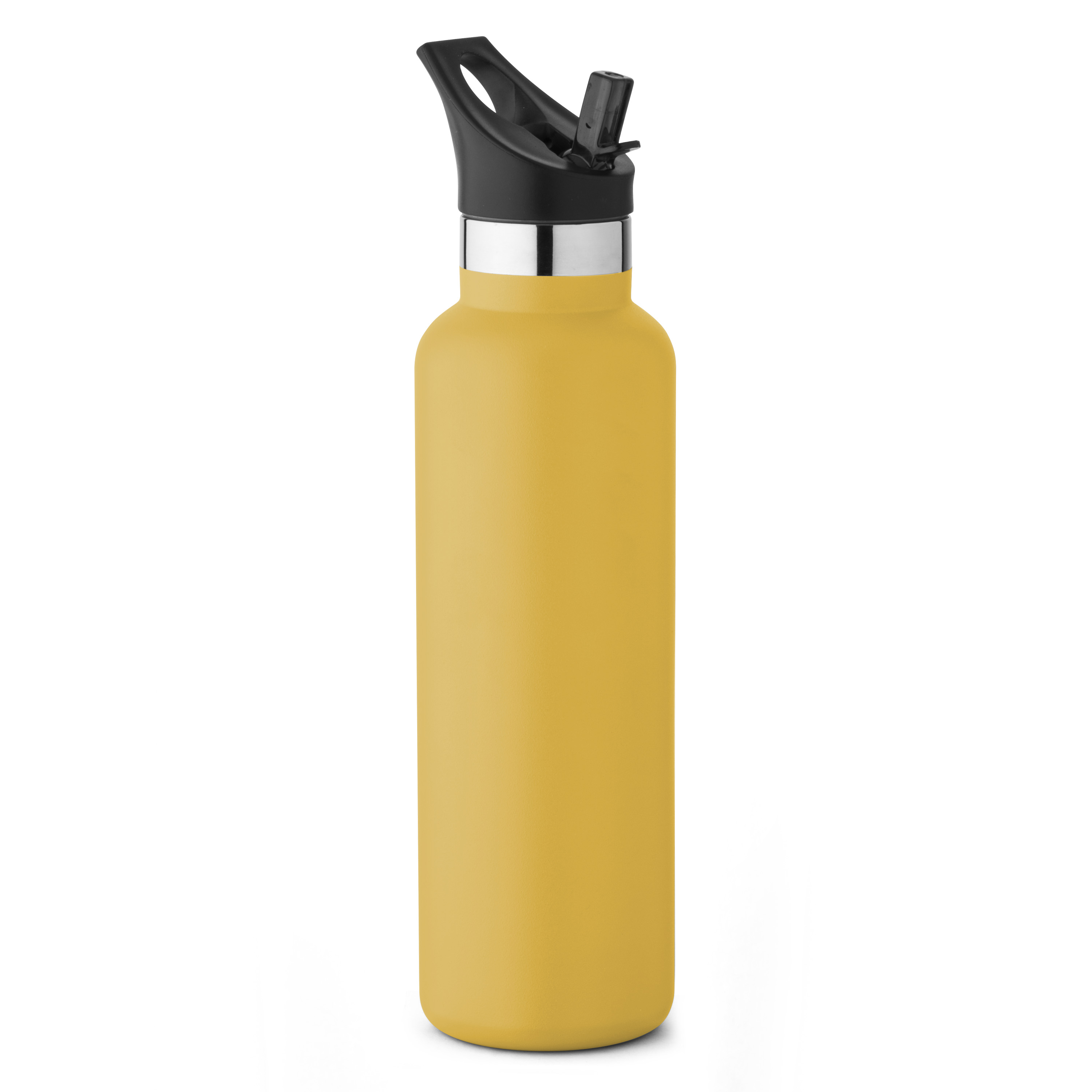 20 oz Basecamp Mesa Tundra Bottle with Screw Top and Flip-Top Straw Lid 1