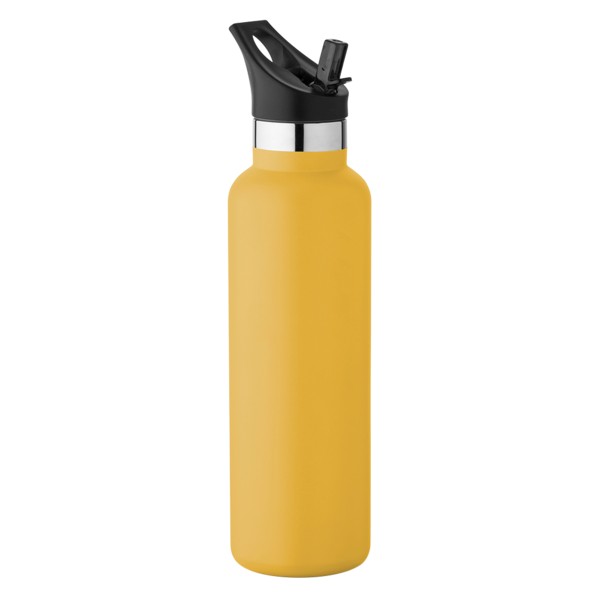 20 oz Basecamp Mesa Tundra Bottle with Screw Top and Flip-Top Straw Lid 1