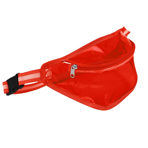 Ann Arbor Transparent Waist Pack 1