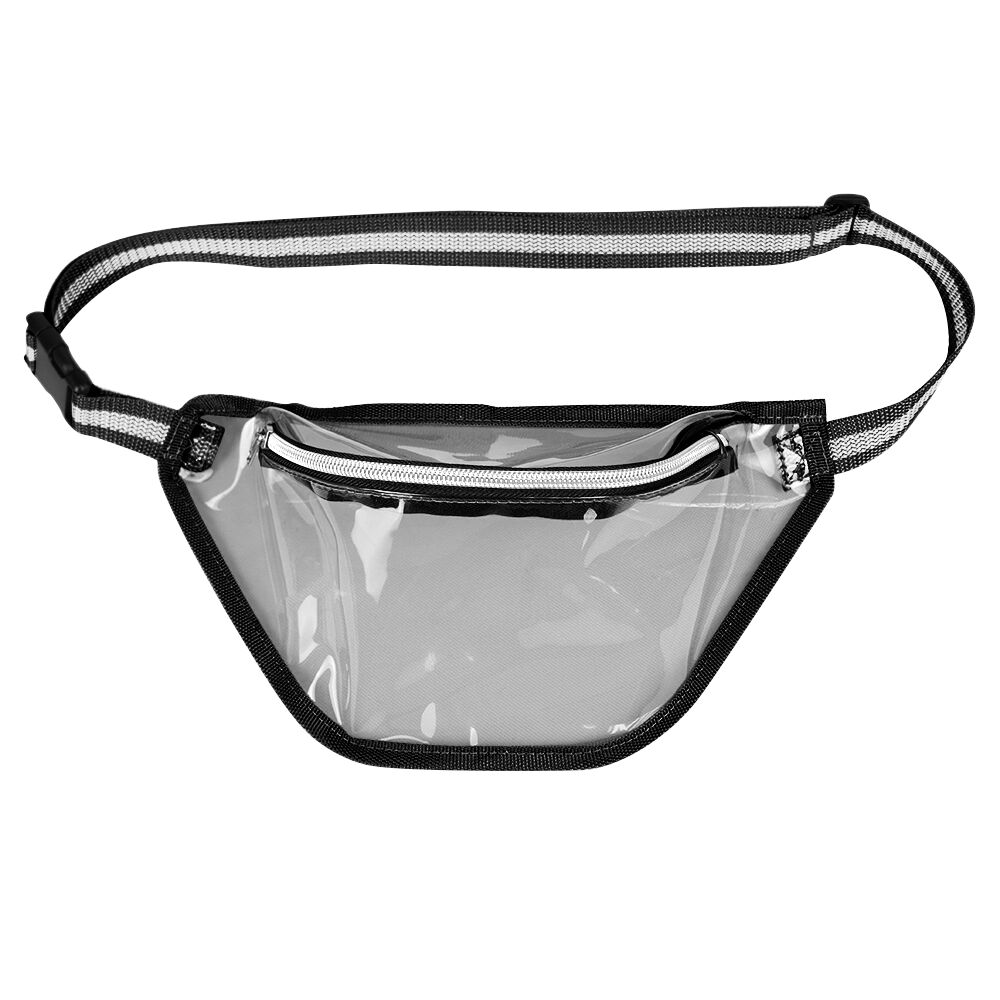 Ann Arbor Transparent Waist Pack 1