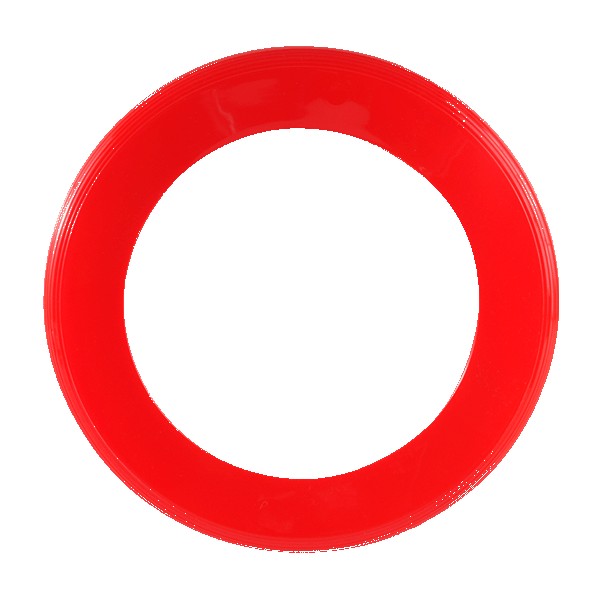 Disc-Y Business Ring Flyer 1