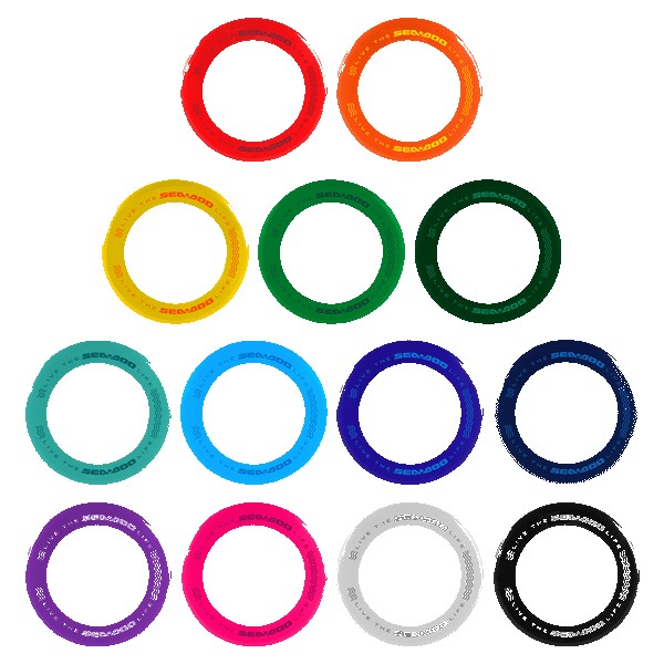 Disc-Y Business Ring Flyer 1 Disc-Y Business Ring Flyer 1