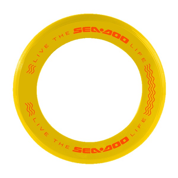 Disc-Y Business Ring Flyer 1