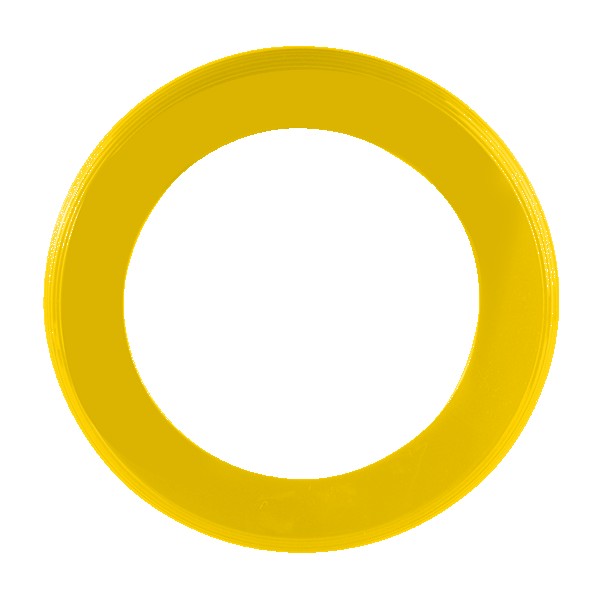 Disc-Y Business Ring Flyer 1