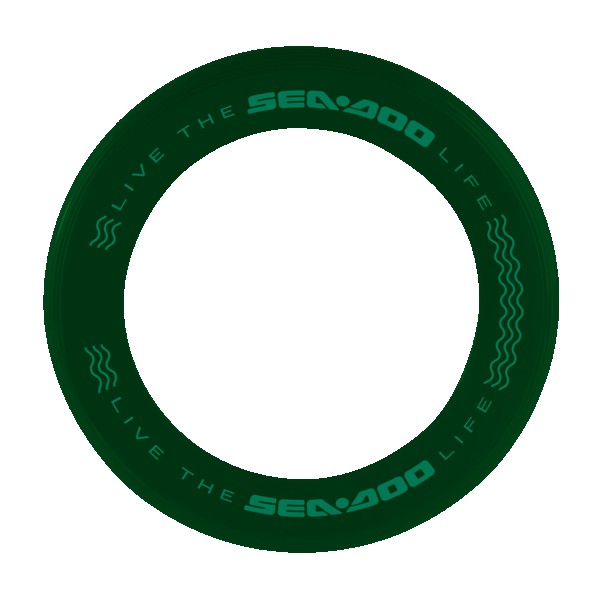 Disc-Y Business Ring Flyer 1