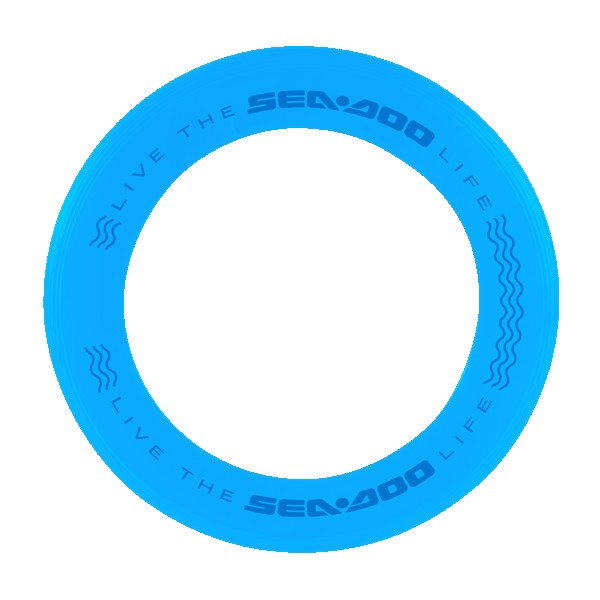Disc-Y Business Ring Flyer 1