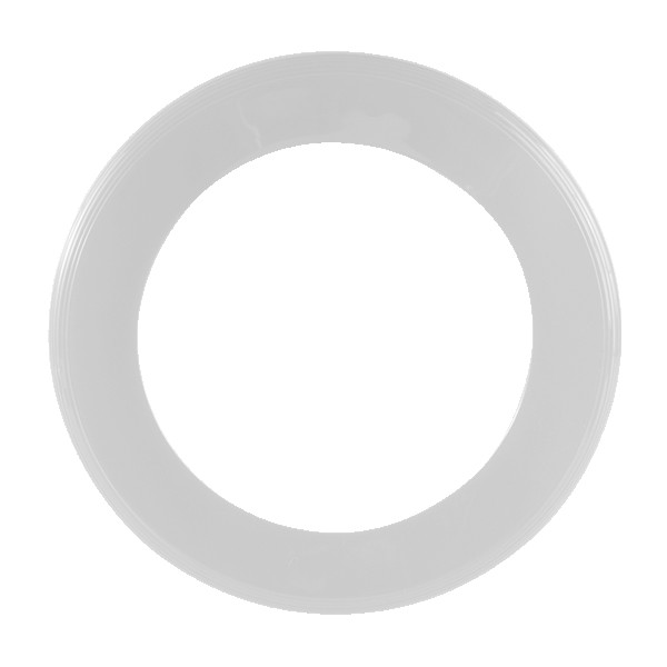 Disc-Y Business Ring Flyer 1