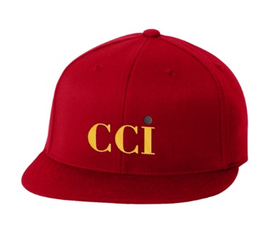 Flexfit 6210FF Premium 210 Fitted Cap 1