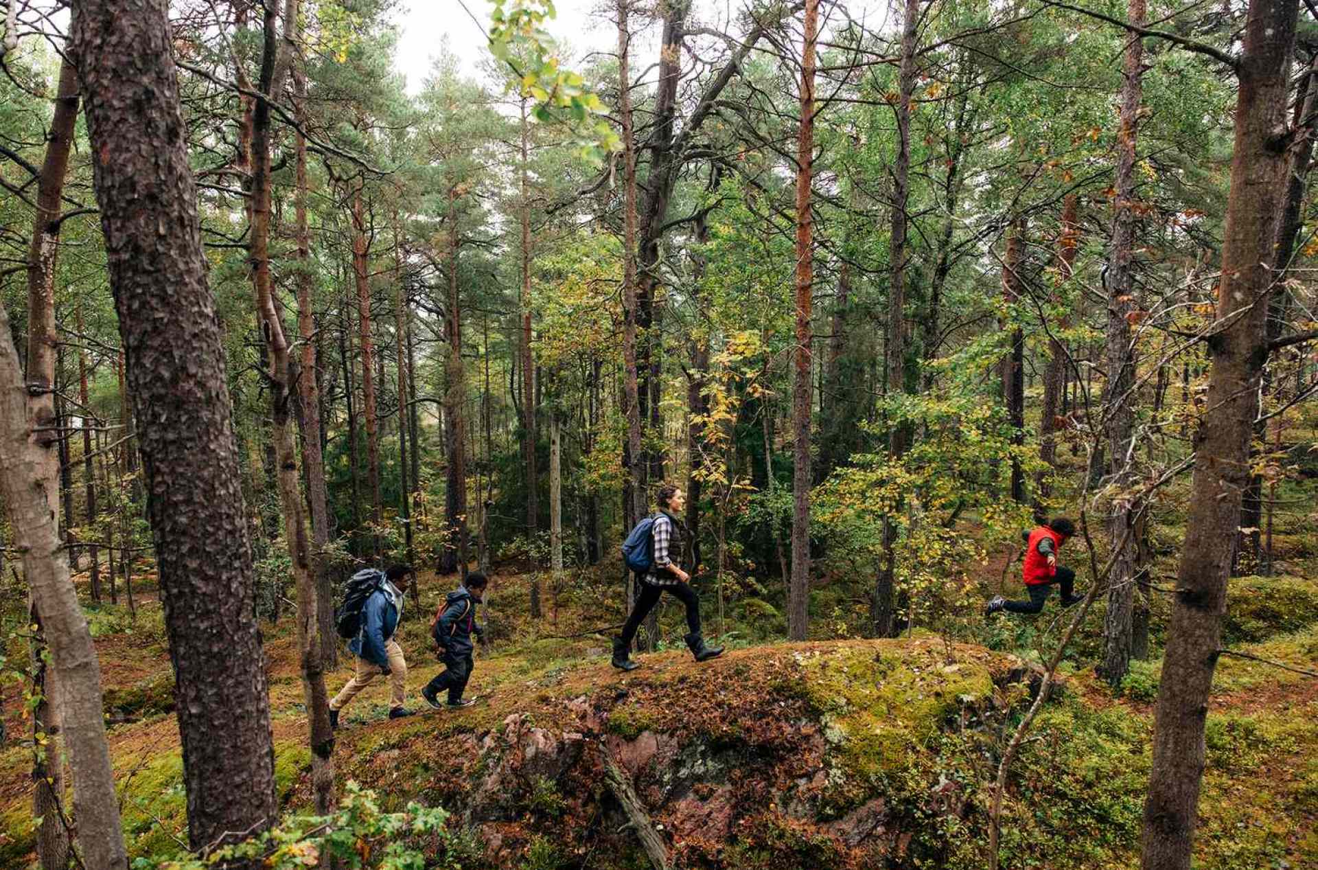 I’ve Hiked Hundreds of Trails—and This Is My No. 1 Safety Tip I’ve Hiked Hundreds of Trails—and This Is My No. 1 Safety Tip