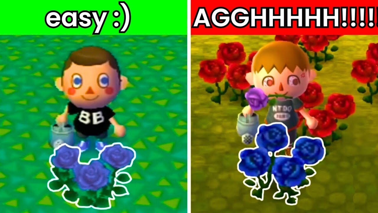 I Grew a Blue Rose in Every Animal Crossing Game! I Grew a Blue Rose in Every Animal Crossing Game!