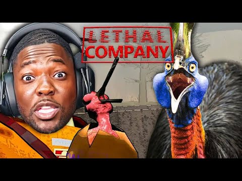 THEY PUT A CASSOWARY IN LETHAL COMPANY?! THEY PUT A CASSOWARY IN LETHAL COMPANY?!