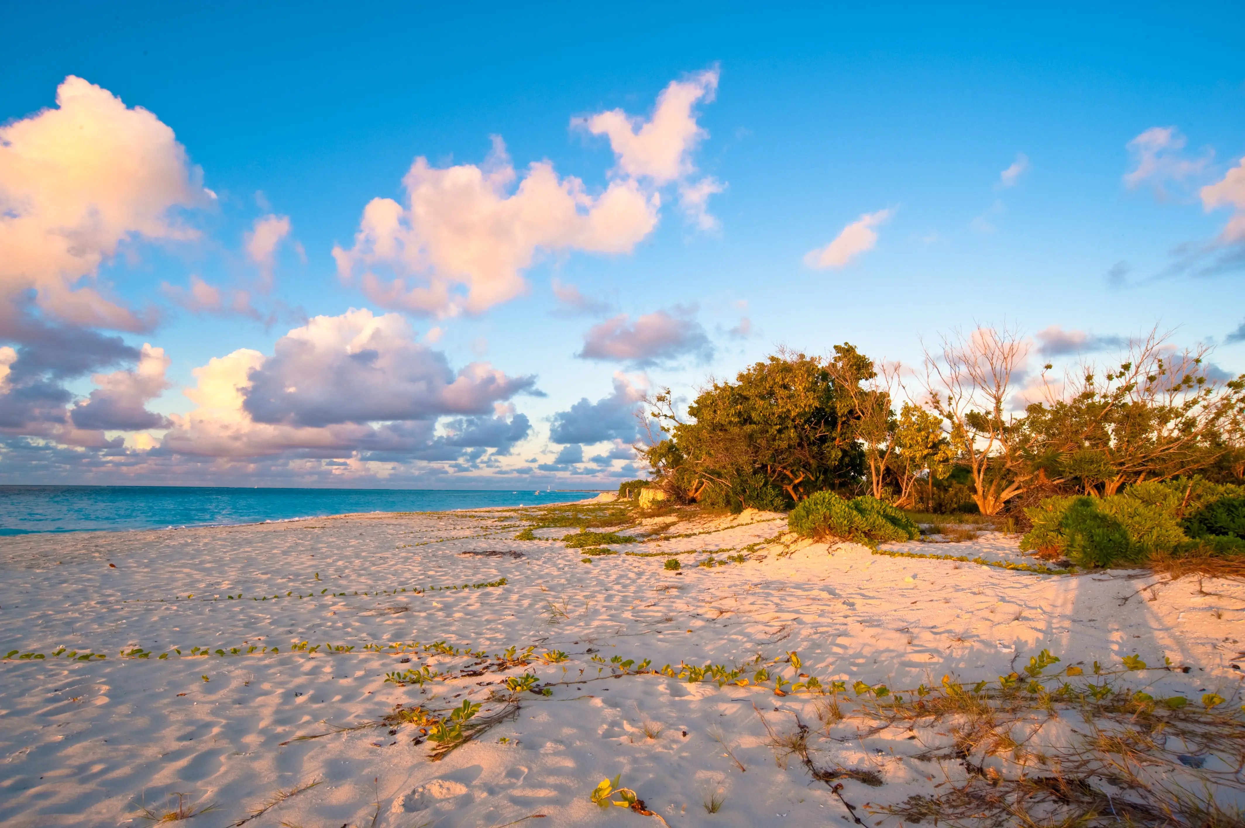The Ultimate Guide To Beach Vacation Holidays: Sun, Sand, And Serenity Awaits The Ultimate Guide To Beach Vacation Holidays: Sun, Sand, And Serenity Awaits