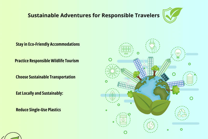 Eco-Friendly Travel Hacks: Exploring The World Responsibly Eco-Friendly Travel Hacks: Exploring The World Responsibly