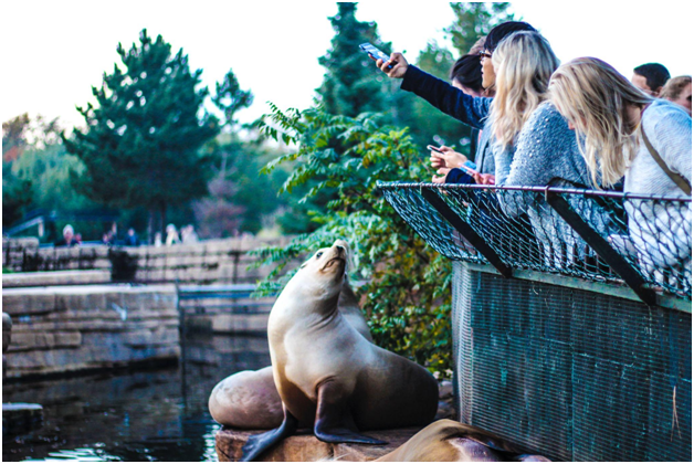 Solo But Not Lonely: Unforgettable Family-Friendly Destinations For Single Parents Solo But Not Lonely: Unforgettable Family-Friendly Destinations For Single Parents