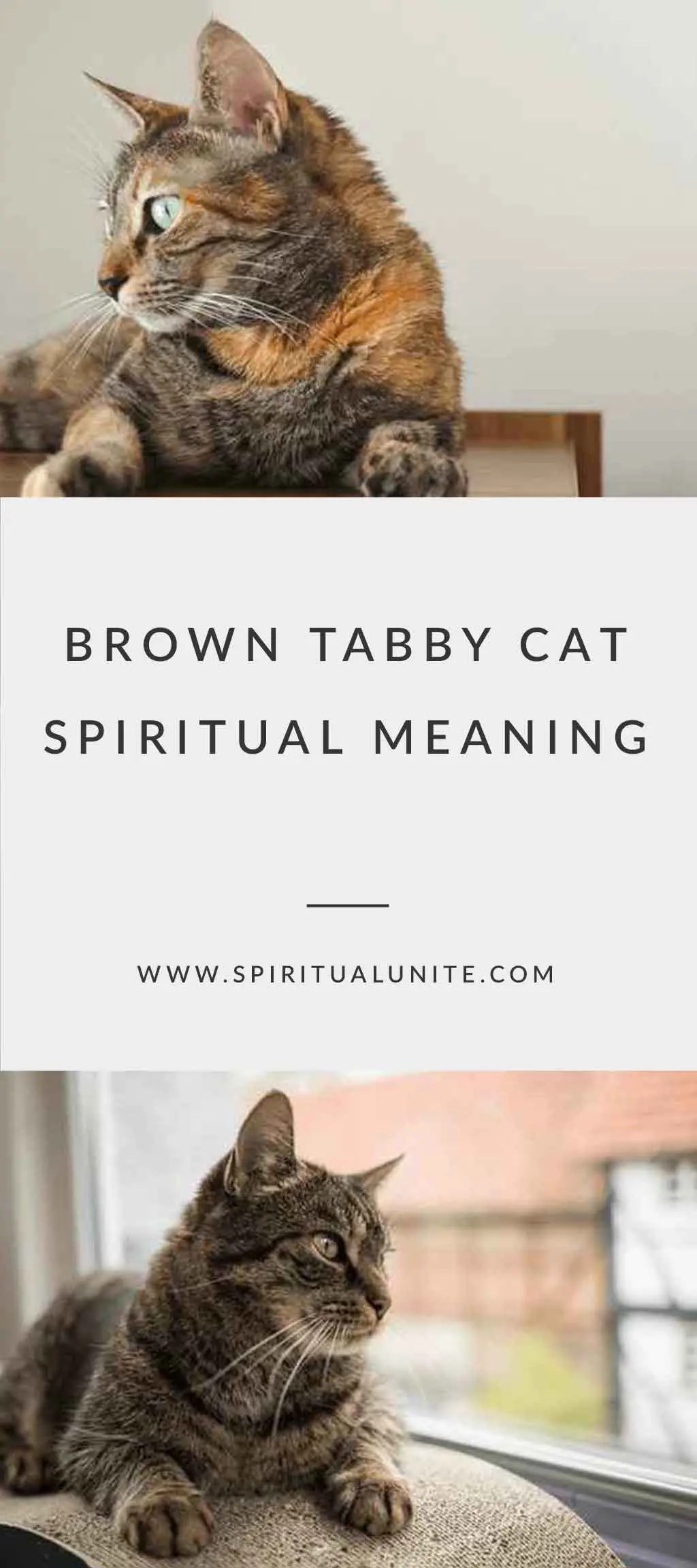 Affordable Spiritual Retreats In The USA: Nurturing Your Soul Without Breaking The Bank Affordable Spiritual Retreats In The USA: Nurturing Your Soul Without Breaking The Bank