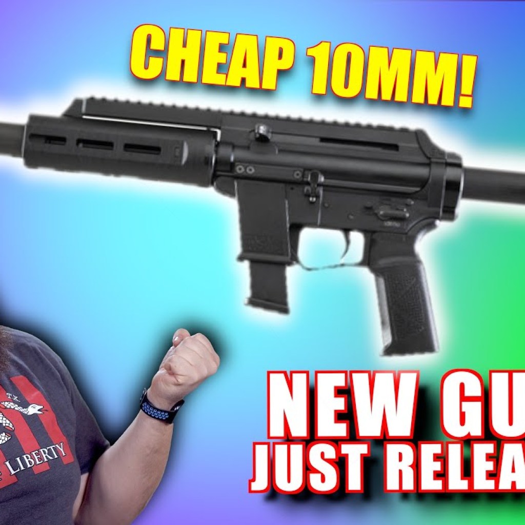 WHOA! Tons of NEW GUNS just released! WHOA! Tons of NEW GUNS just released!