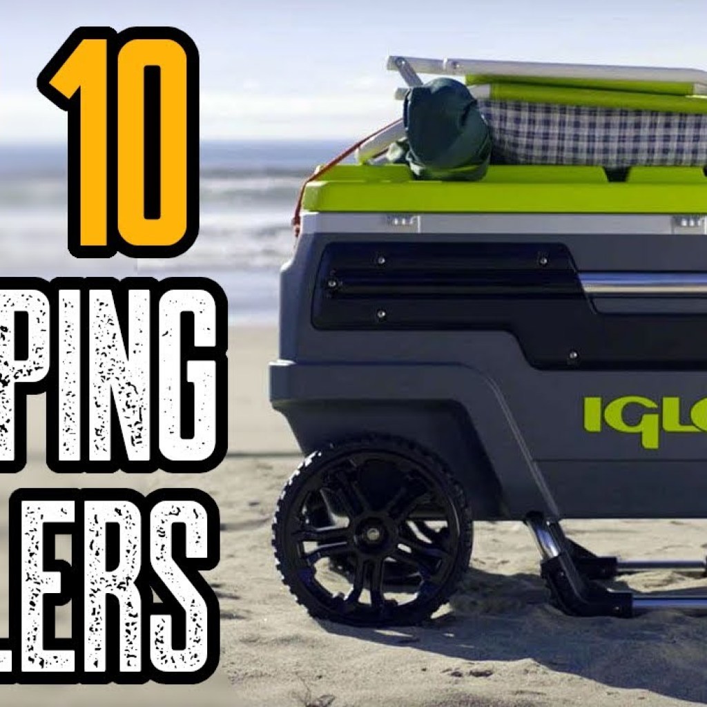 Top 10 Best Portable Coolers for Camping & Outdoors Top 10 Best Portable Coolers for Camping & Outdoors