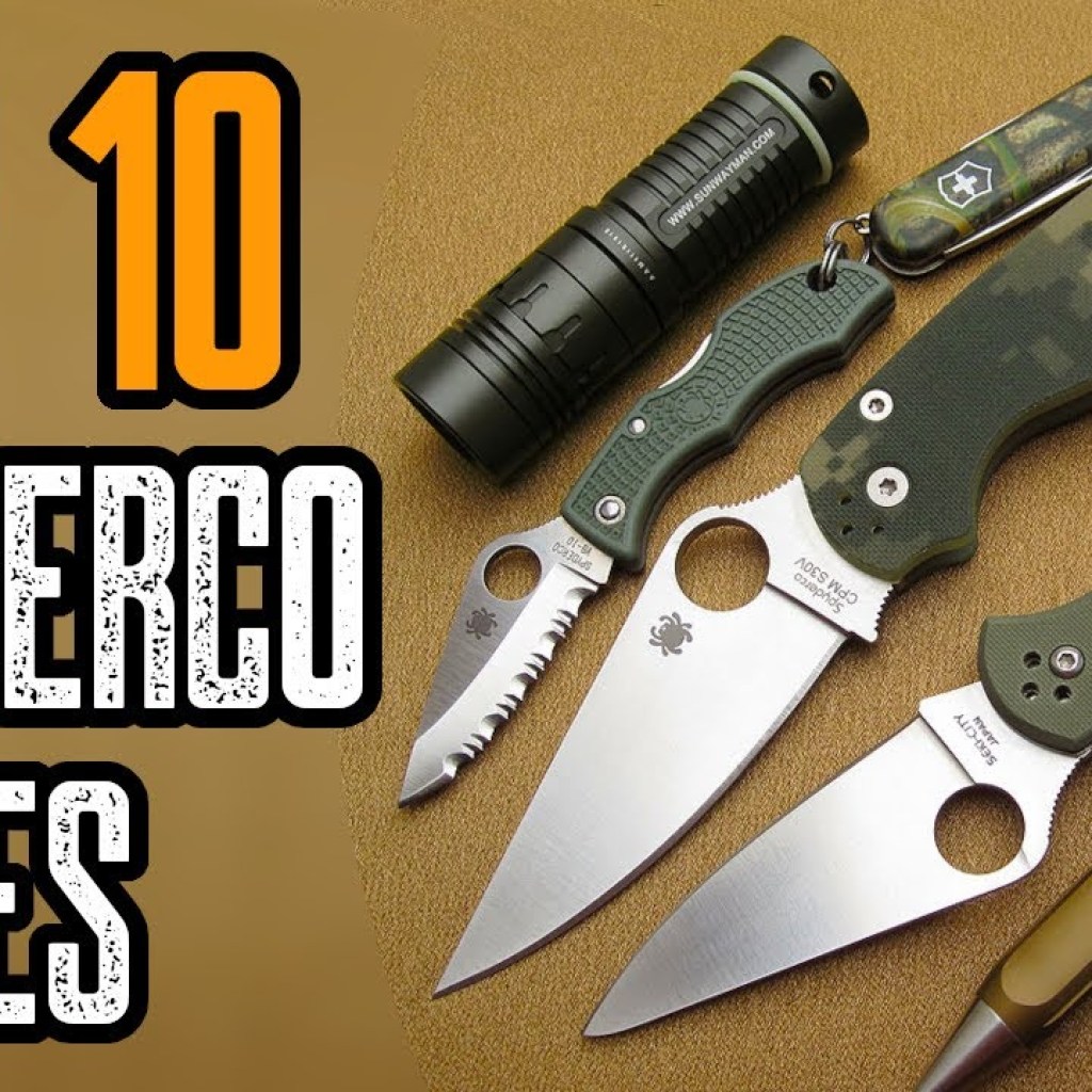 Top 10 Best Spyderco Knives 2021 (EDC Folding Knives) Top 10 Best Spyderco Knives 2021 (EDC Folding Knives)